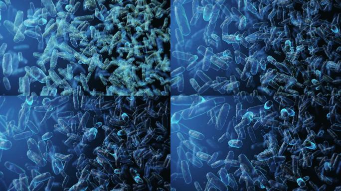 益生菌细菌大肠杆菌细胞