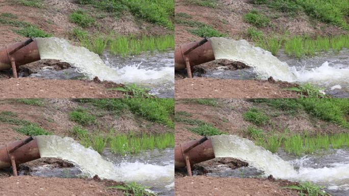 水从管道猛烈地冲进绿色稻田的特写镜头。