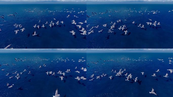 4k 一群海鸥在海面盘旋飞舞