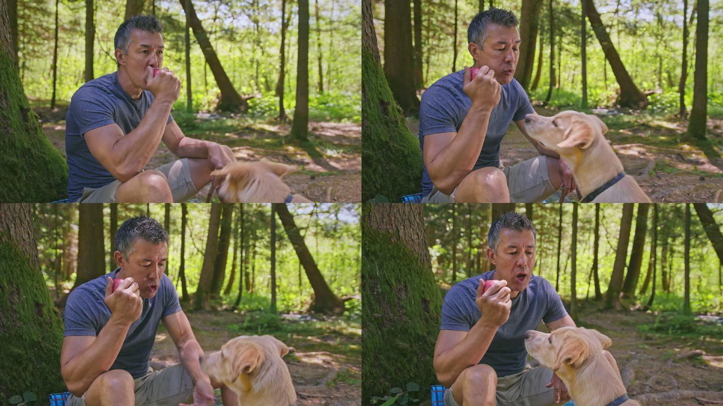一个男人在森林里吃苹果，他的狗坐在他旁边