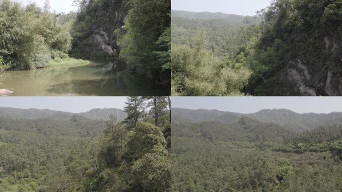 【D-log原片】溪流山林航拍 原始环境