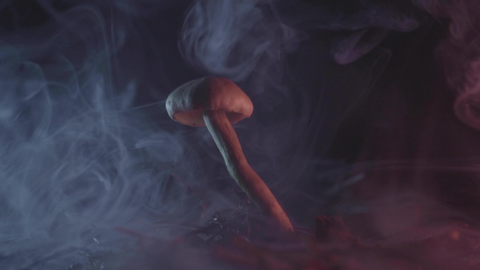 雾中蘑菇烟雾流体