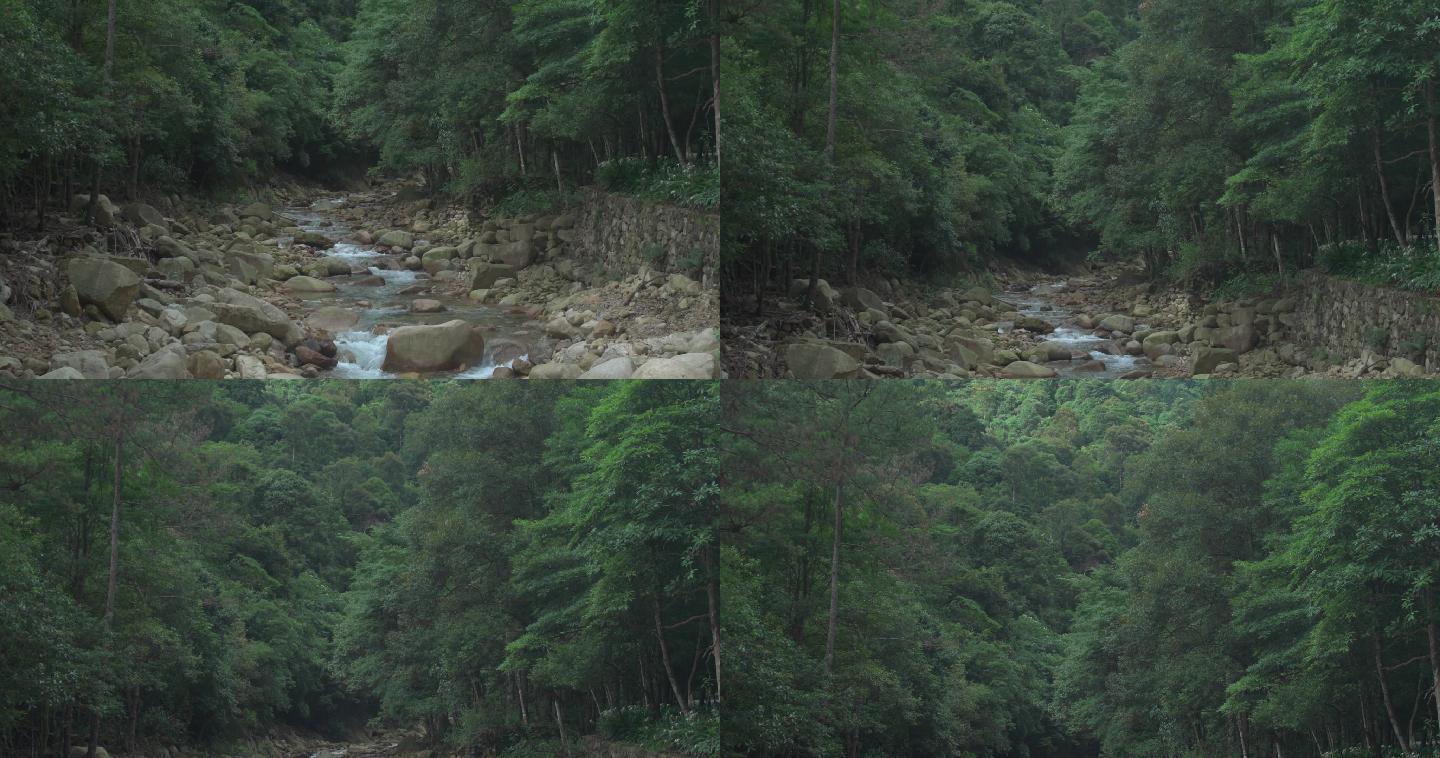 升格拍摄森林溪流山泉水