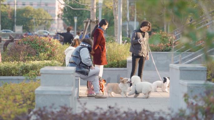 活泼可爱的萌宠乐园天地