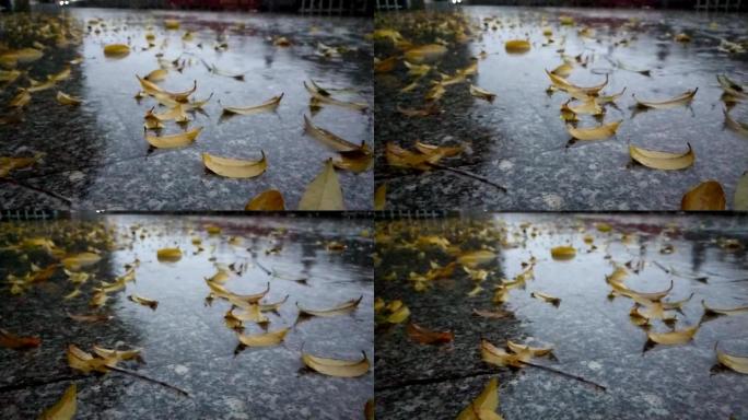 雨夜雨水雨点落花地上的落叶雨夜落叶