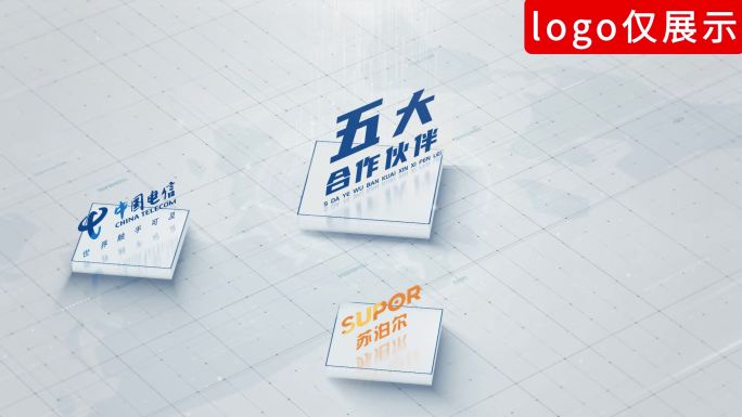 【5】商务简洁Logo分类展示五