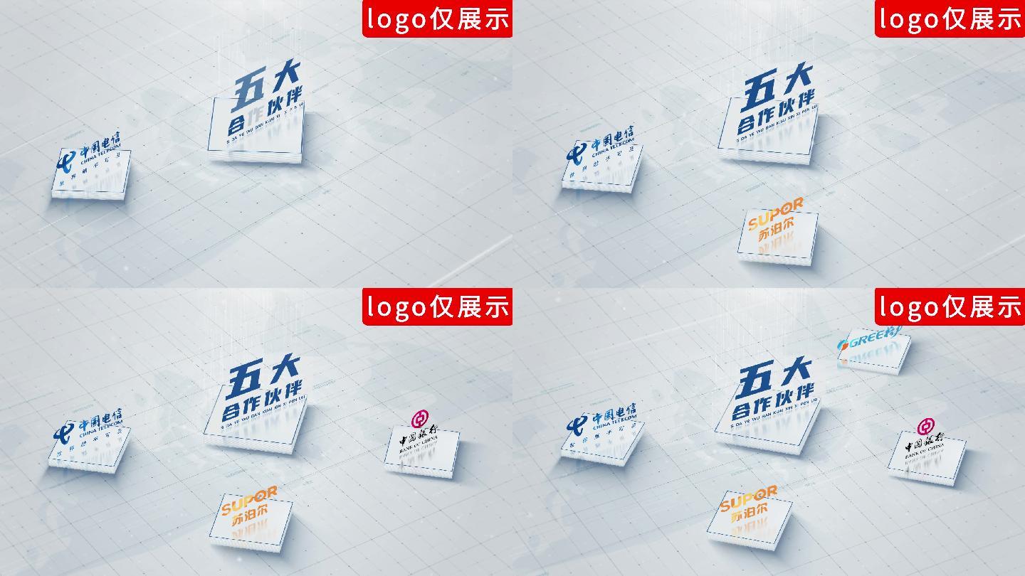 【5】商务简洁Logo分类展示五