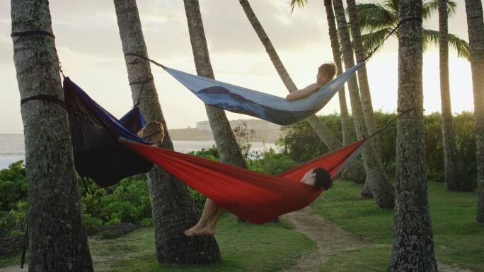 三个年轻人在棕榈树间的吊床上休息