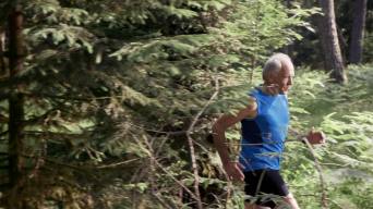 斯洛·莫在森林里奔跑视频素材