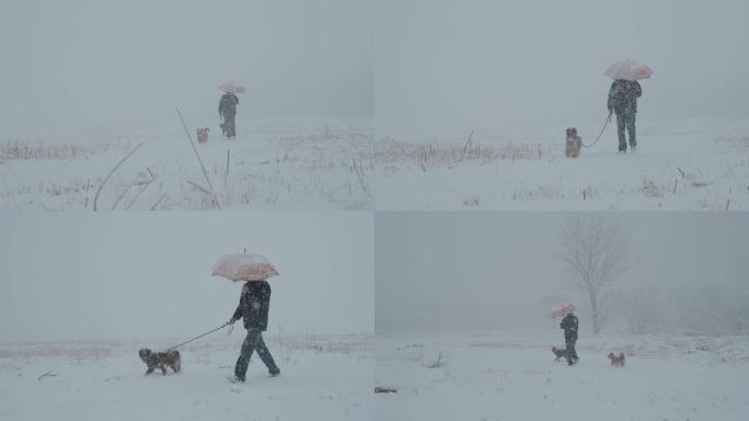 雪 人 溜狗 唯美 大雪 撑伞 空境