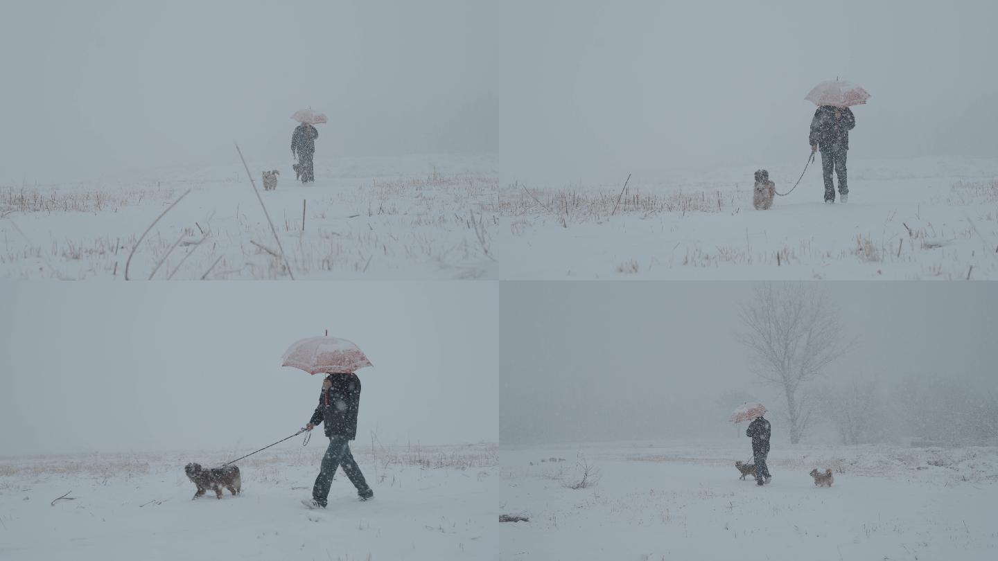 雪 人 溜狗 唯美 大雪 撑伞 空境