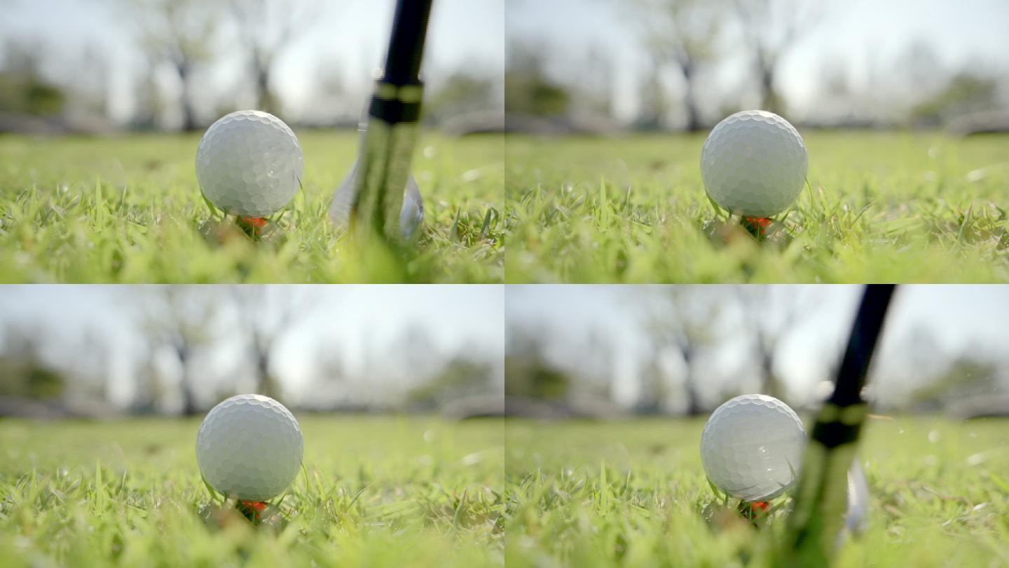 特写镜头：早上在美丽的高尔夫球场上打高尔夫的高尔夫球手，以慢动作挥杆击球。在高尔夫球的击球中，球从发