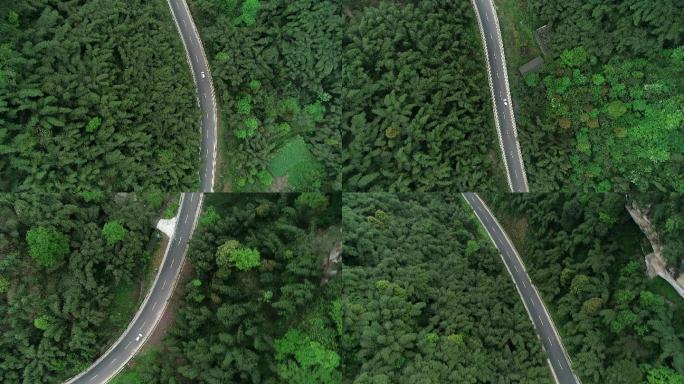 竹海 森林公路俯拍 大自然中穿梭