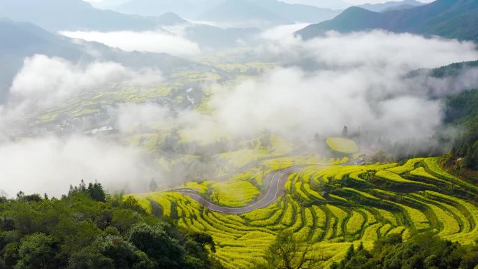 美丽婺源江岭油菜花梯田春季风景