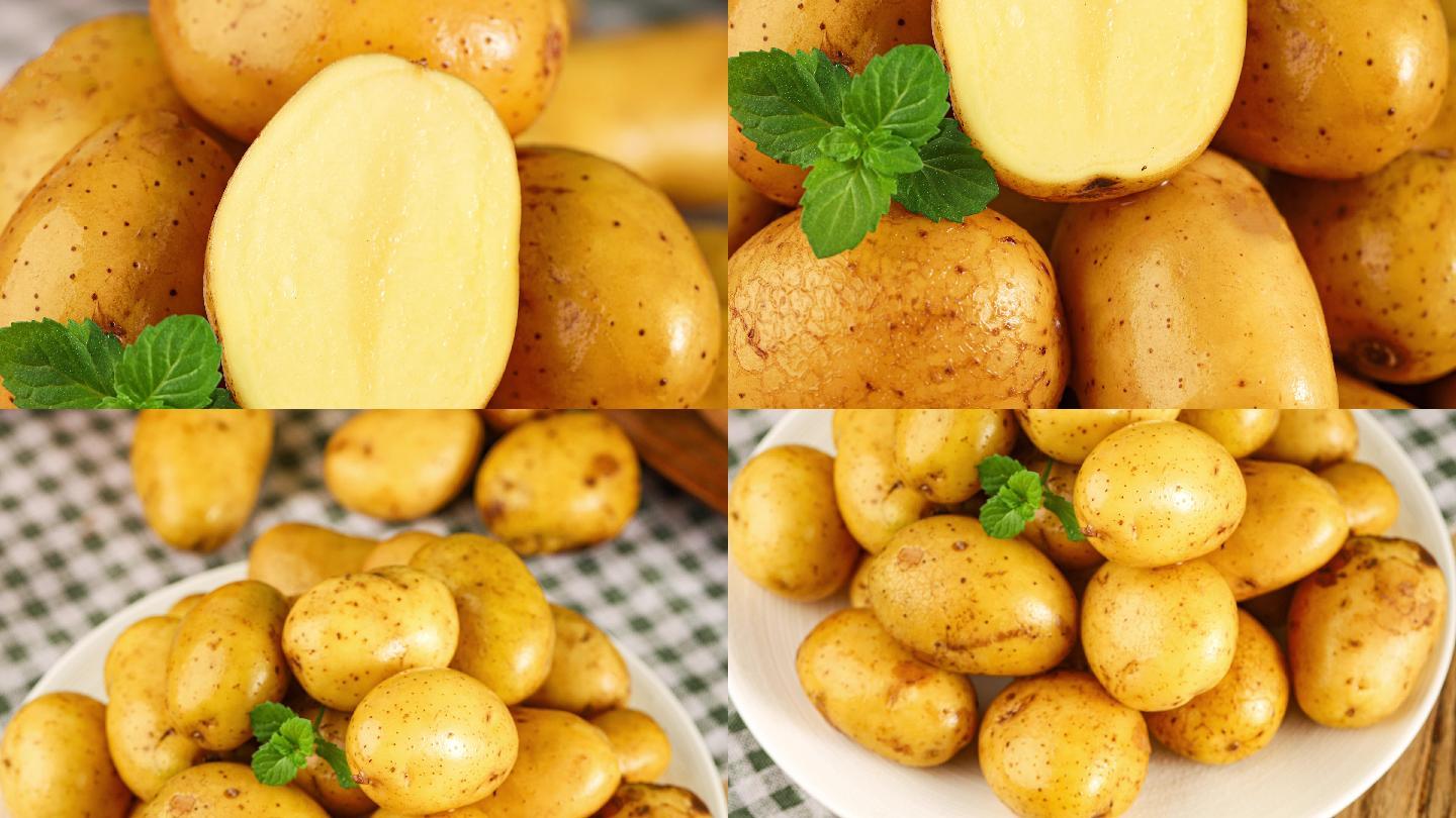 小土豆 马铃薯
