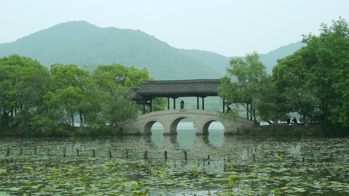 春天杭州湘湖春天风景绿意盎然