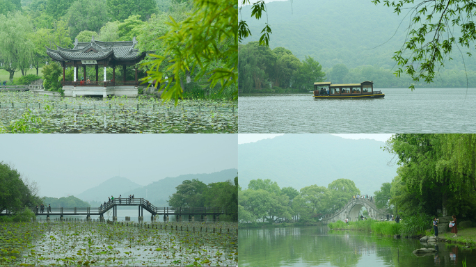 春天杭州湘湖春天风景绿意盎然