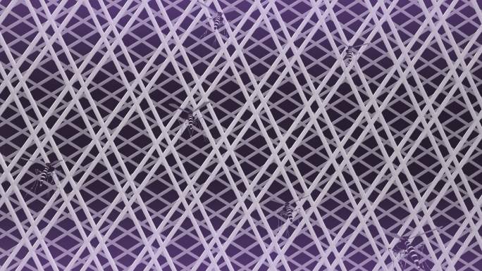 电蚊拍紫光诱蚊灭蚊电蚊拍