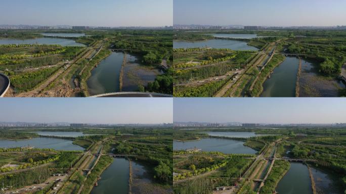 山东济南：航拍初夏鹊山龙湖湿地风景如画