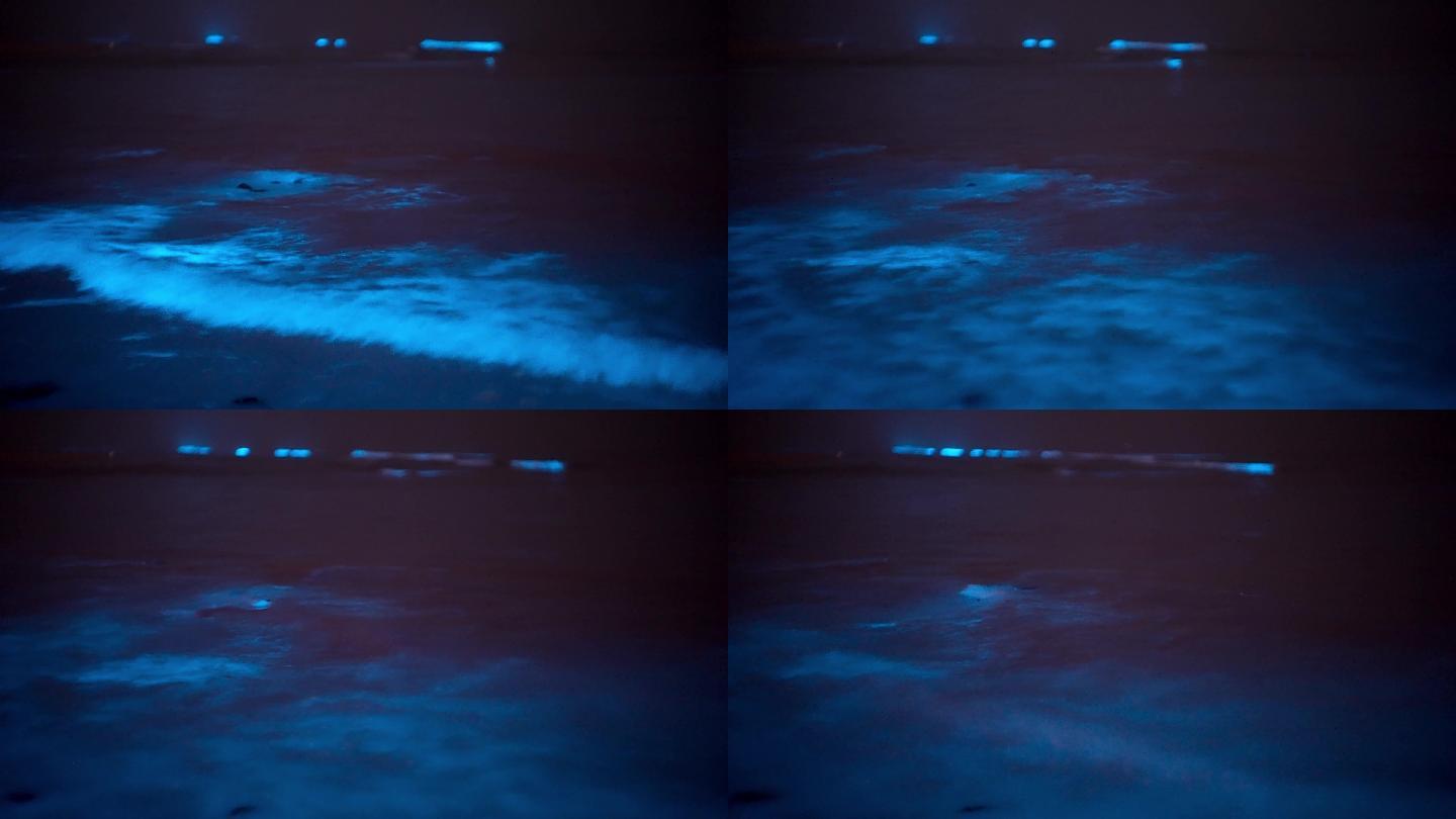 【4K正版】蓝眼泪荧光海汹涌海浪视频素材
