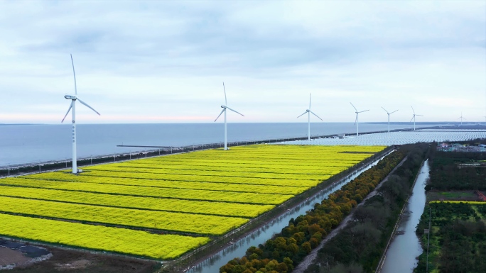 【4K】海边风力发电场