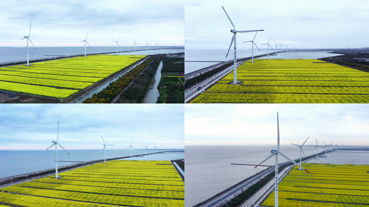 【4K】海边风力发电场
