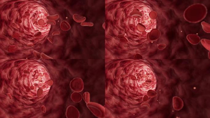 【4K】红细胞在血管中流动