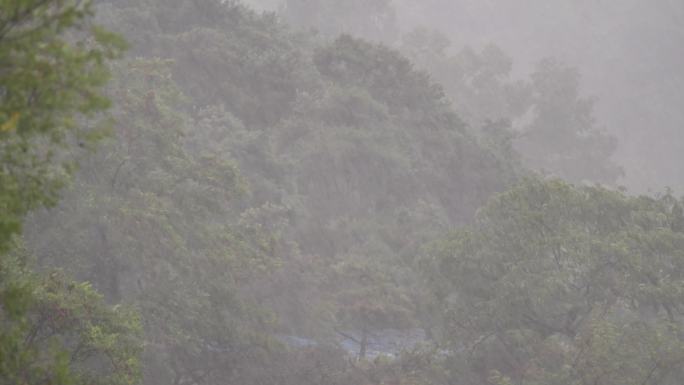 22下雨空镜山村下大雨山雨山林山坡大雨