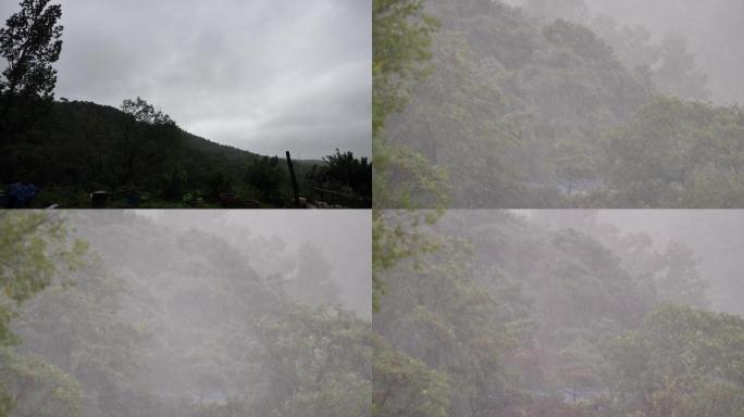 22下雨空镜山村下大雨山雨山林山坡大雨