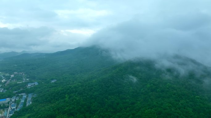 紫金山云雾