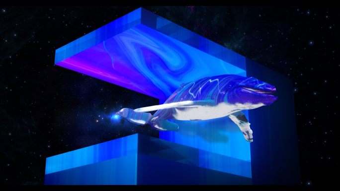 裸眼3d星空鲸鱼-视频素材
