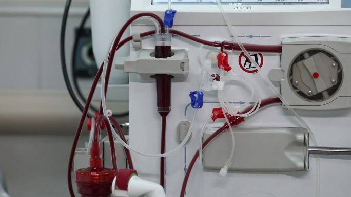 透析 血液 血液净化 肾病肾衰 血液透析