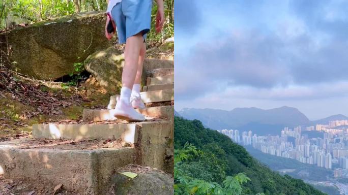 香港笔架山爬山遇见野生猴子欣赏都市风景