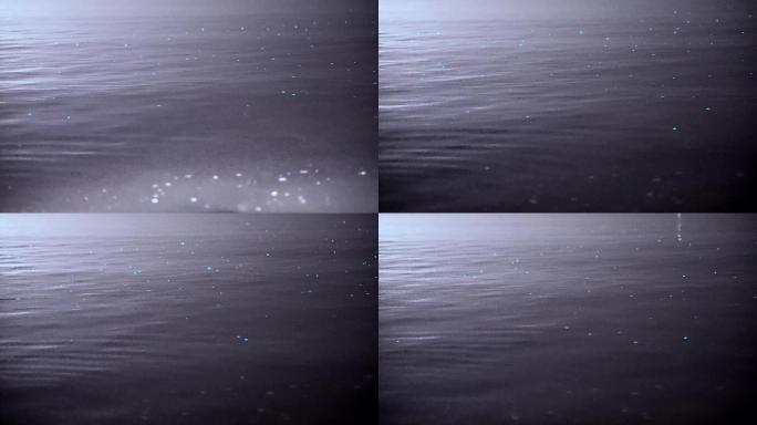 【4K正版】雨中的蓝眼泪荧光海海面