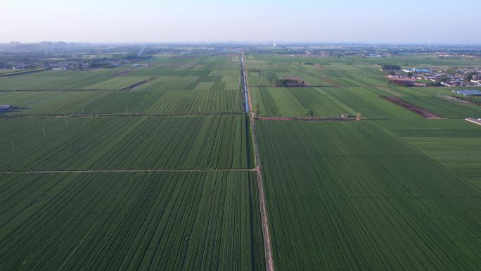 农田灌溉铁路穿过麦田