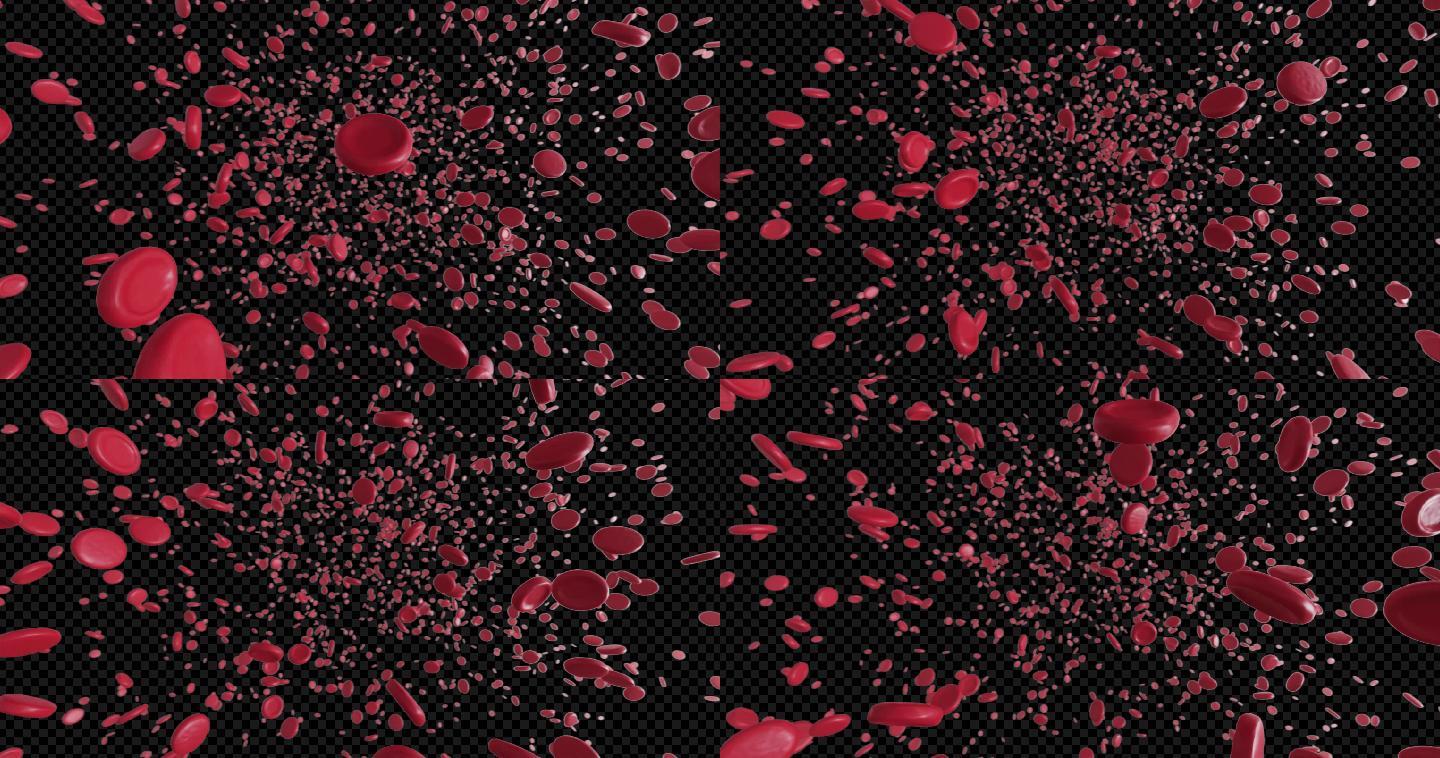 【4K】红细胞穿梭带透明通道