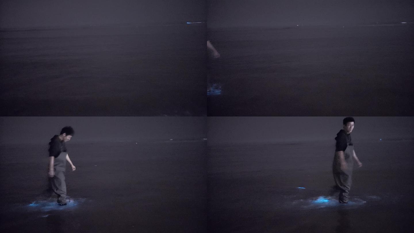 【4K正版】行走在荧光海海浪中的游客