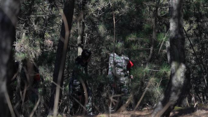 森林山林护林员巡山巡逻素材