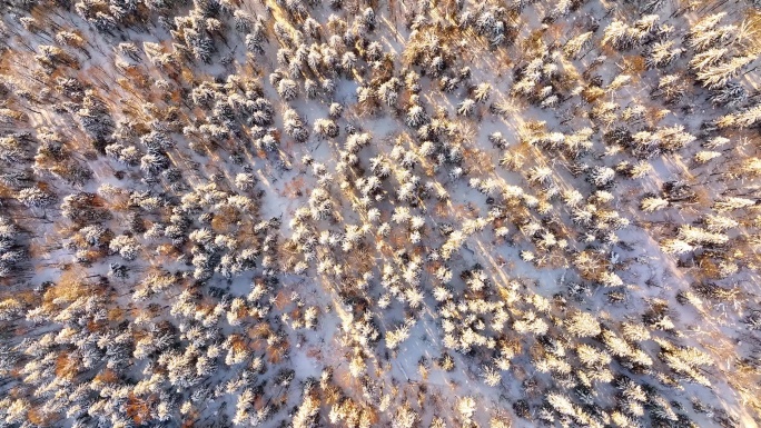 《高清4K60帧》牡丹江中国雪乡航拍
