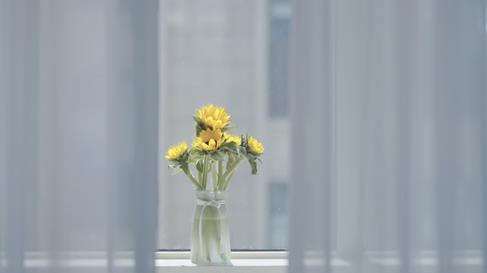 太阳花-窗帘花瓶向日葵