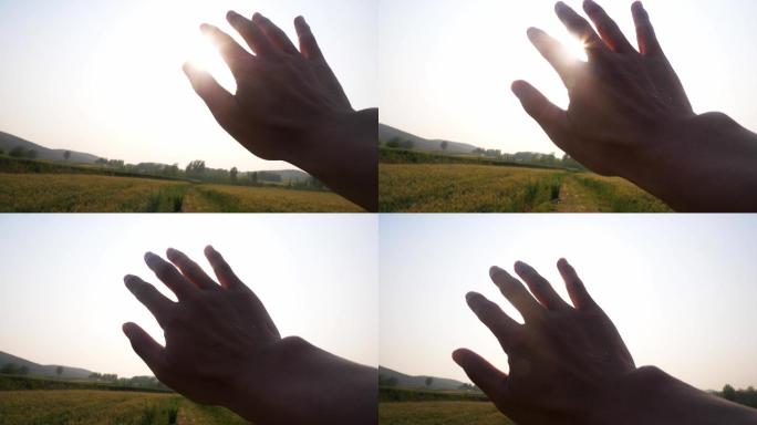 手 阳光 指缝 指缝阳光 逆光 手掌