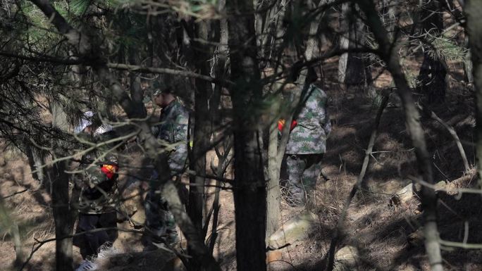 森林山林护林员巡山巡逻素材