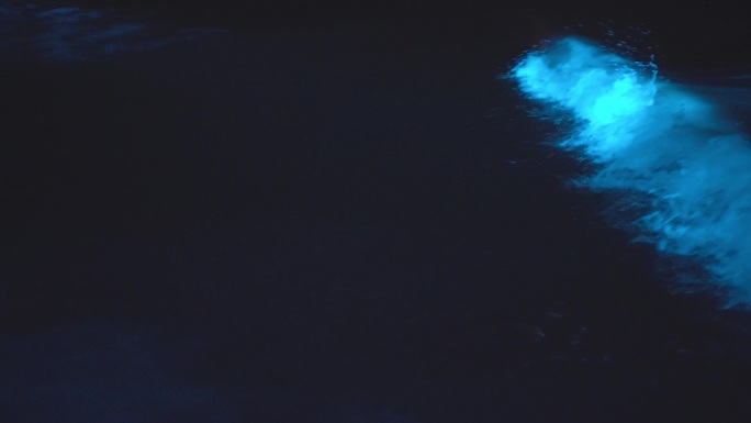 【4K正版】蓝眼泪荧光海海浪慢动作镜头