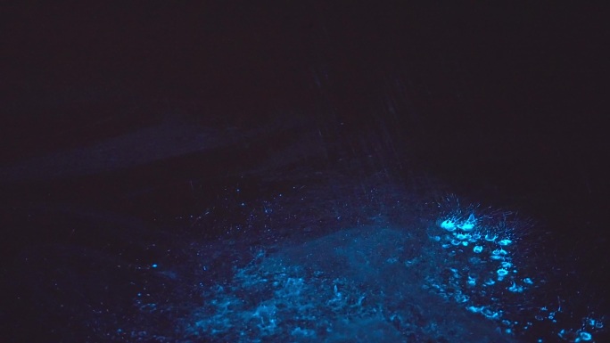 【4K正版】蓝眼泪海面泼水慢动作镜头