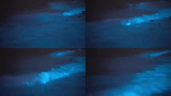 【4K正版】蓝眼泪海浪冲刷海滩礁石慢镜头