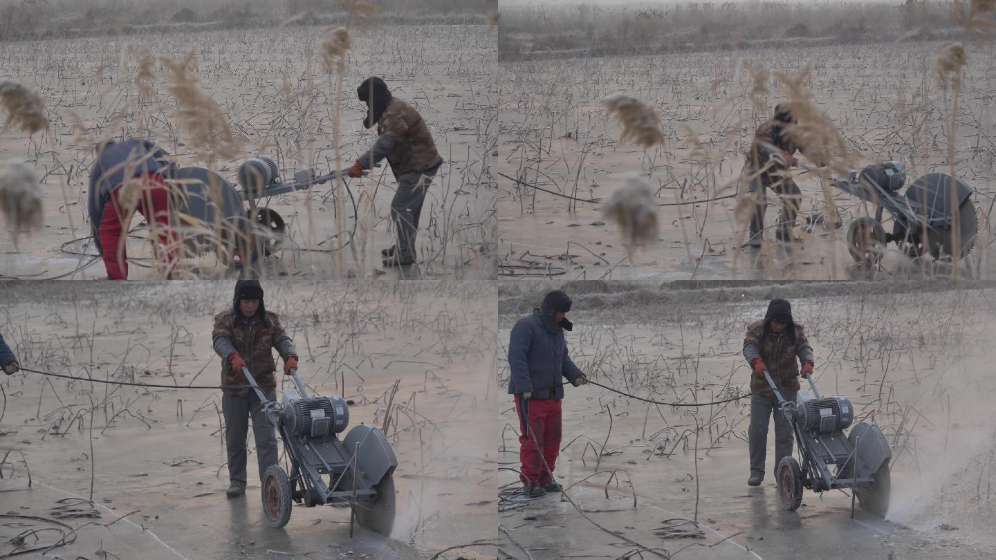 18破冰人挖藕作业航拍挖藕莲藕藕池