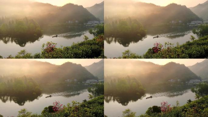 绿水青山 茶园日出 美丽乡村