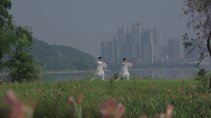 老年人草地湖边打太极