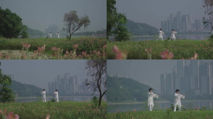 老年人草地湖边打太极