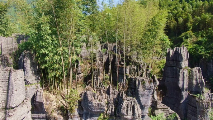 竹石林